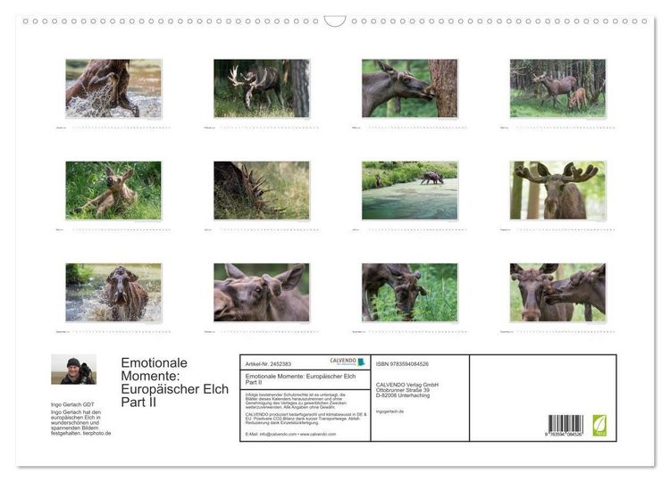Produktbild: Emotionale Momente: Europ&auml;ischer Elch Part II (Wandkalender 2027 DIN A2 quer), CALVENDO Monatskalender