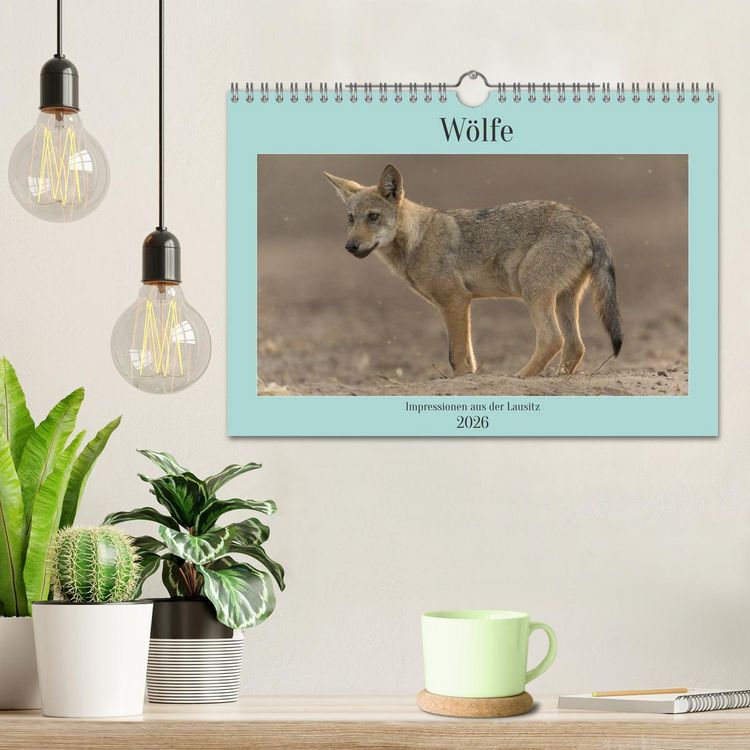 Produktbild: W&ouml;lfe, Impressionen aus der Lausitz (Wandkalender 2026 DIN A4 quer), CALVENDO Monatskalender