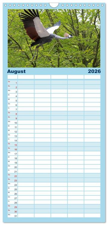 Produktbild: Familienplaner 2026 - V&ouml;gel im Flug - Akrobaten der L&uuml;fte mit 5 Spalten (Wandkalender, 21 x 45 cm) CALVENDO