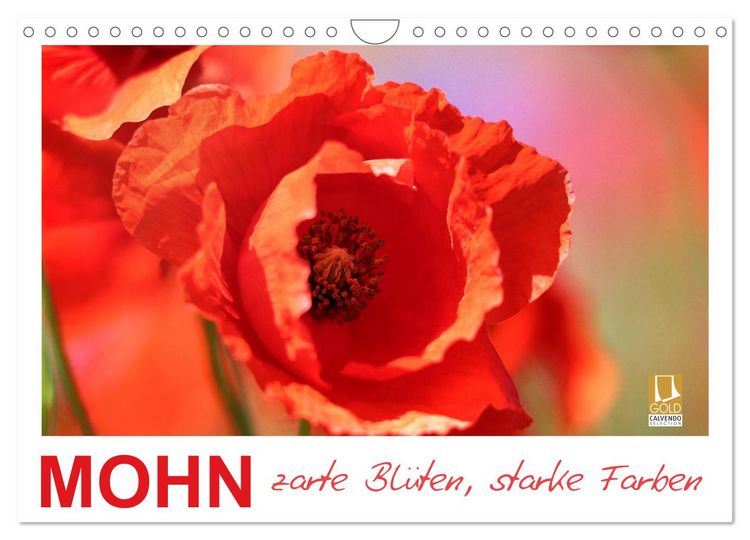 Produktbild: Mohn, zarte Bl&uuml;ten, starke Farben (Wandkalender 2026 DIN A4 quer), CALVENDO Monatskalender