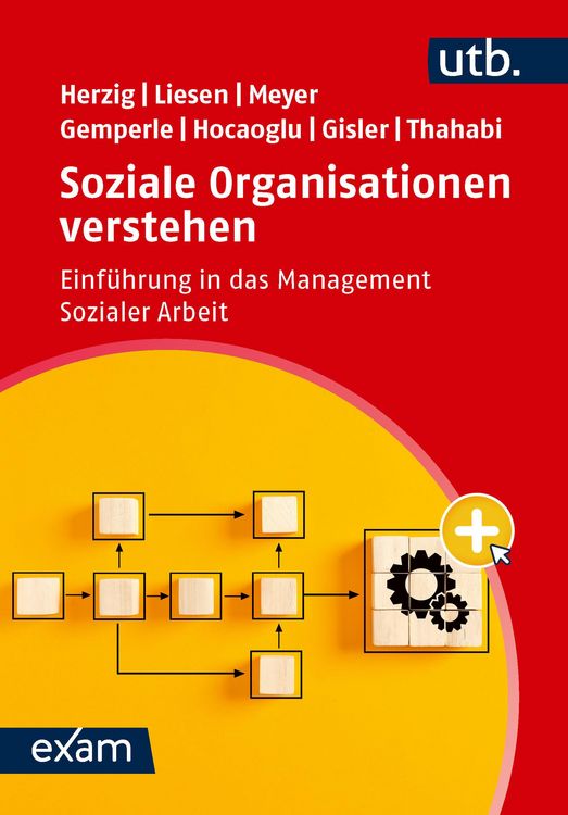 Produktbild: Soziale Organisationen verstehen