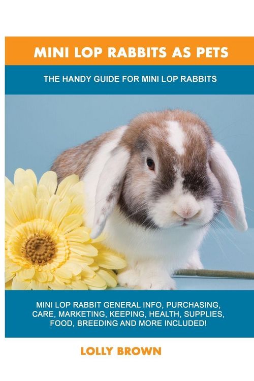 Produktbild: Mini Lop Rabbits as Pets