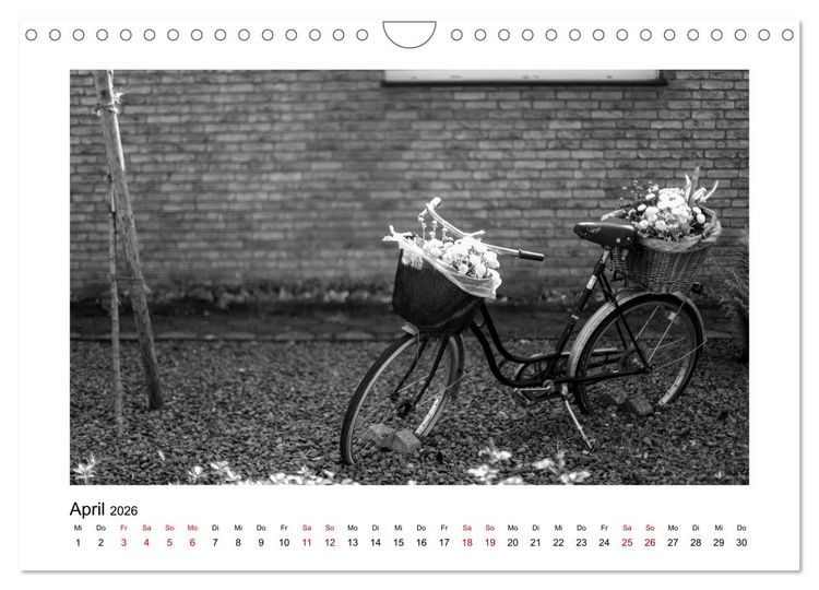 Produktbild: K&ouml;ln-H&ouml;henhaus heute (Wandkalender 2026 DIN A4 quer), CALVENDO Monatskalender