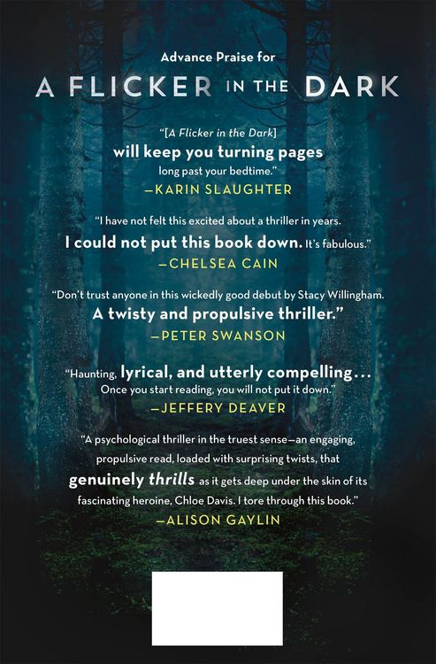 Produktbild: A Flicker in the Dark