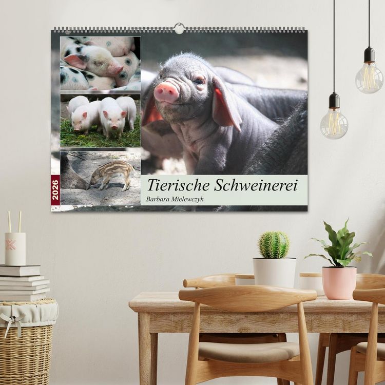 Produktbild: Tierische Schweinerei (Wandkalender 2026 DIN A2 quer), CALVENDO Monatskalender