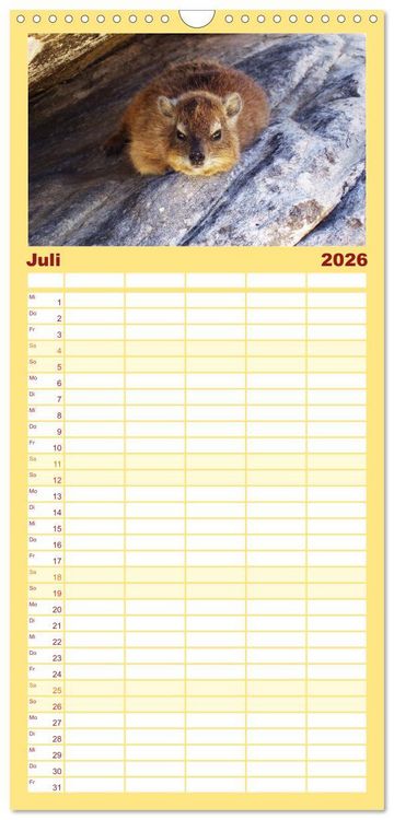Produktbild: Familienplaner 2026 - S&uuml;dafrika - Big 5 und mehr mit 5 Spalten (Wandkalender, 21 x 45 cm) CALVENDO