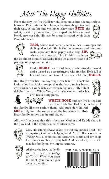Produktbild: The Happy Hollisters and the Sea Turtle Mystery