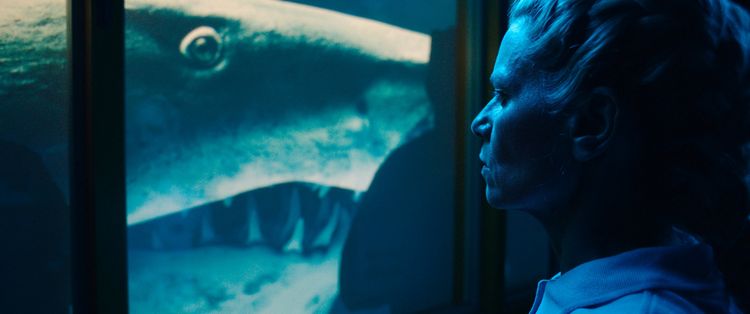 Produktbild: Year of the Shark