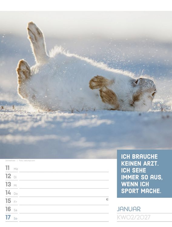 Produktbild: Tierisch Spr&uuml;chekalender Wochenplaner 2027