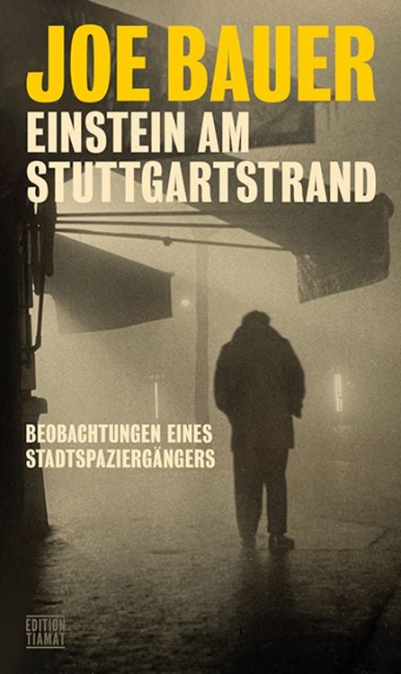 Produktbild: Einstein am Stuttgartstrand