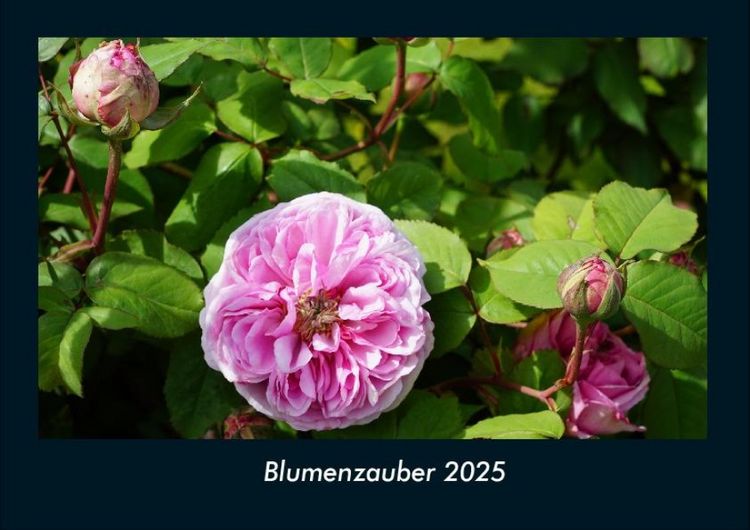 Produktbild: Blumenzauber 2025 Fotokalender DIN A4