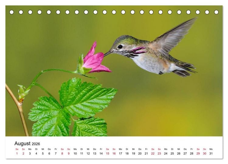 Produktbild: Kolibris - Juwelen der L&uuml;fte (Tischkalender 2026 DIN A5 quer), CALVENDO Monatskalender