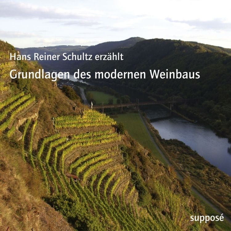 Produktbild: Grundlagen des modernen Weinbaus