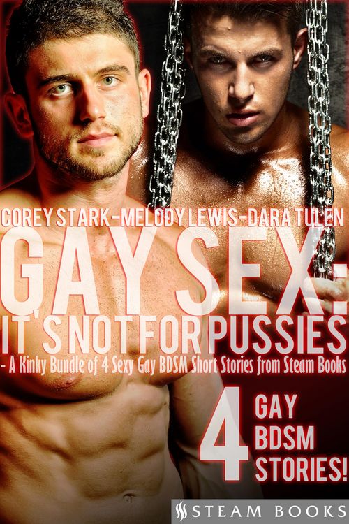 Produktbild: Gay Sex: It's Not For Pussies - A Kinky Bundle of 4 Sexy Gay BDSM Short Stories from Steam Books