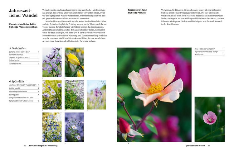 Produktbild: Gr&uuml;n in allen Farben