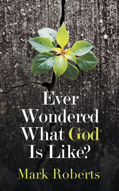 Produktbild: Ever Wondered What God Is Like?