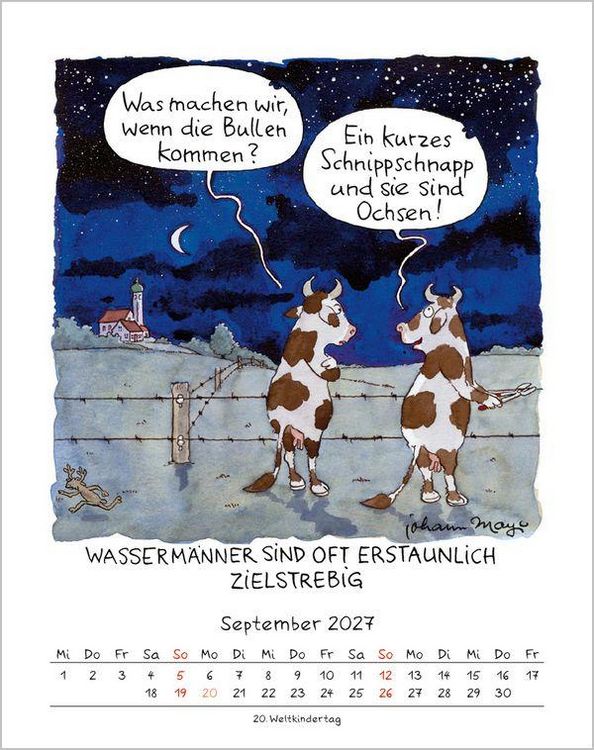 Produktbild: Wassermann 2027