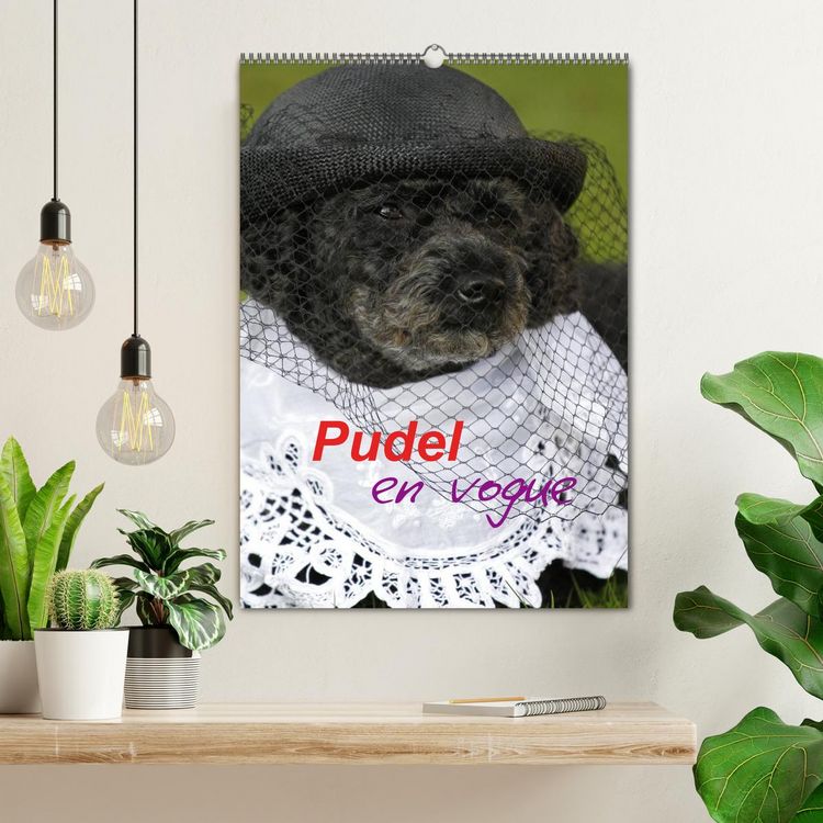 Produktbild: Pudel en vogue (Wandkalender 2026 DIN A2 hoch), CALVENDO Monatskalender