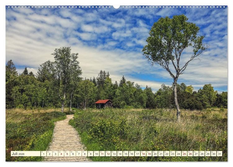 Produktbild: Moor und Riedlandschaften im S&uuml;dwesten (Wandkalender 2026 DIN A2 quer), CALVENDO Monatskalender