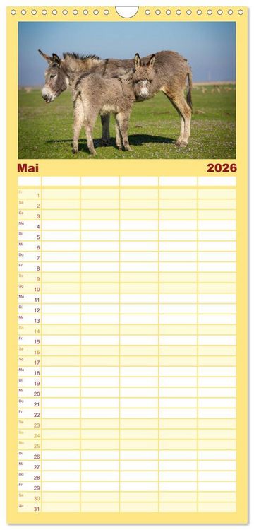Produktbild: Familienplaner 2026 - Esel - h&uuml;bsch, klug und flei&szlig;ig mit 5 Spalten (Wandkalender, 21 x 45 cm) CALVENDO