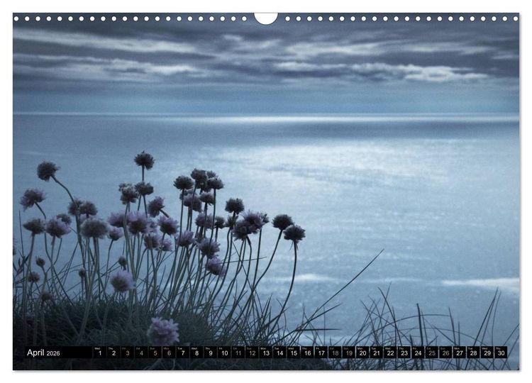 Produktbild: COAST - Photographs of the British Coast (Wall Calendar 2026 DIN A3 landscape), CALVENDO 12 Month Wall Calendar