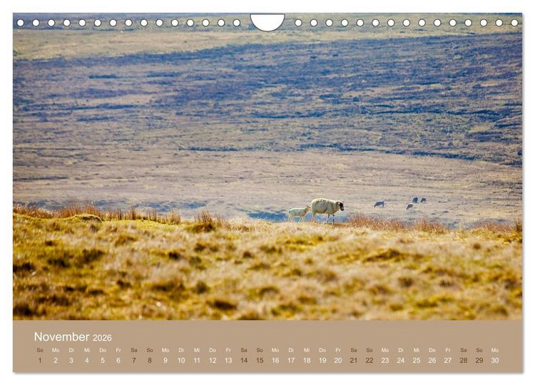 Produktbild: Unter Schafen - Wegbegleiter auf Reisen (Wandkalender 2026 DIN A4 quer), CALVENDO Monatskalender