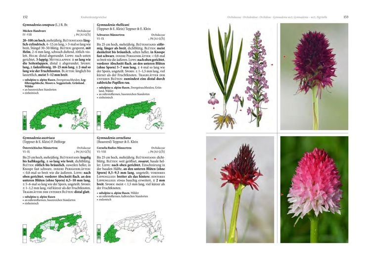 Produktbild: Alpenflora