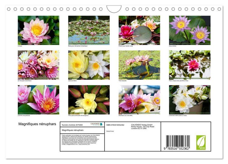 Produktbild: Magnifiques n&eacute;nuphars (Calendrier mural 2026 DIN A4 vertical), CALVENDO calendrier mensuel