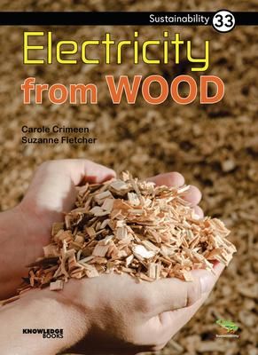 Produktbild: Electricity from Wood