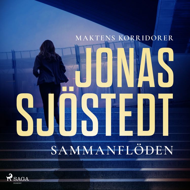 Produktbild: Sammanfl&ouml;den