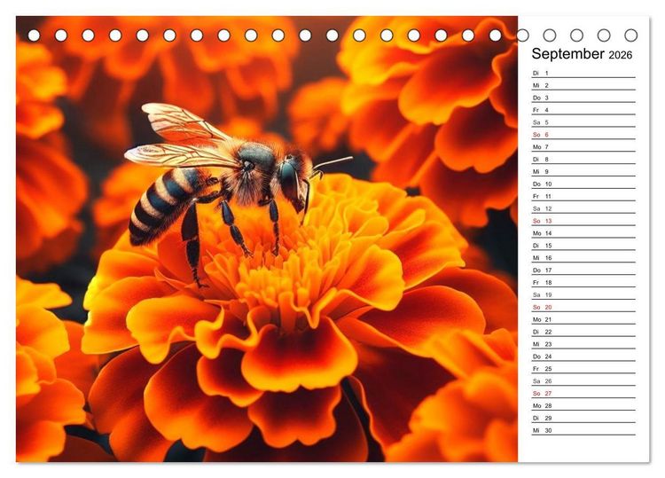 Produktbild: Biene auf Bl&uuml;te - Faszinierende Details durch k&uuml;nstliche Intelligenz (Tischkalender 2026 DIN A5 quer), CALVENDO Monatskalender