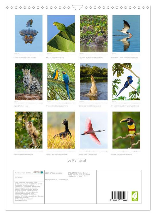 Produktbild: Le Pantanal (Calendrier mural 2026 DIN A3 horizontal), CALVENDO calendrier mensuel