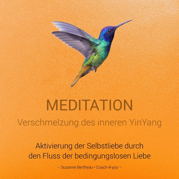 Produktbild: Meditation f&uuml;r die Verschmelzung des inneren YinYang