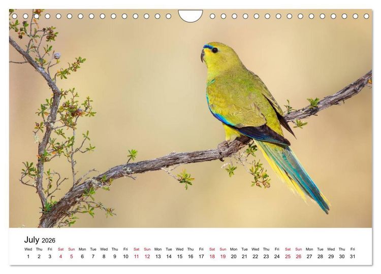 Produktbild: Australian Parrots (Wall Calendar 2026 DIN A4 landscape), CALVENDO 12 Month Wall Calendar