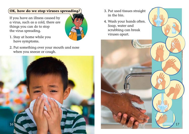 Produktbild: Shinoy and the Chaos Crew: What are viruses?
