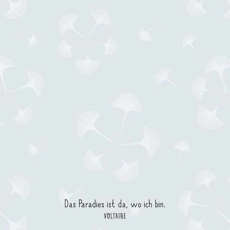 Produktbild: Zettelk&auml;stchen