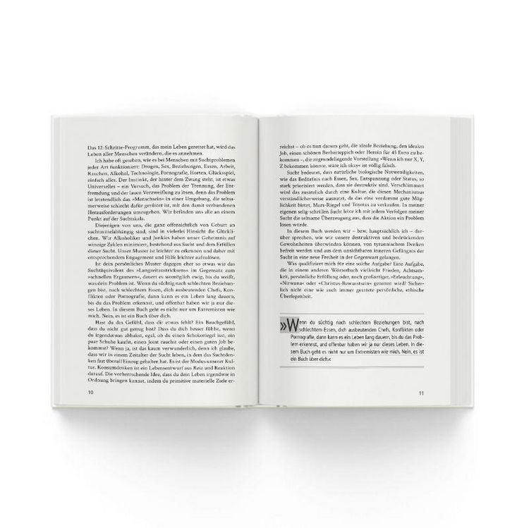 Produktbild: Die 12 Schritte aus der Sucht