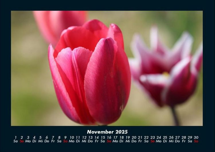 Produktbild: Blumenzauber 2025 Fotokalender DIN A4