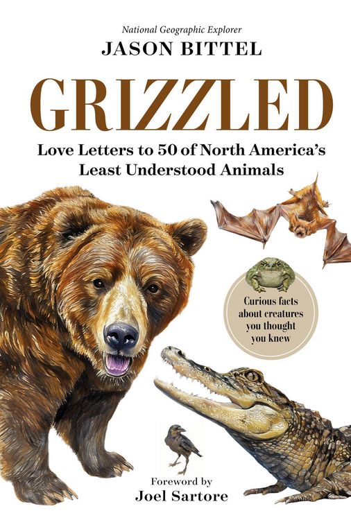 Produktbild: Grizzled