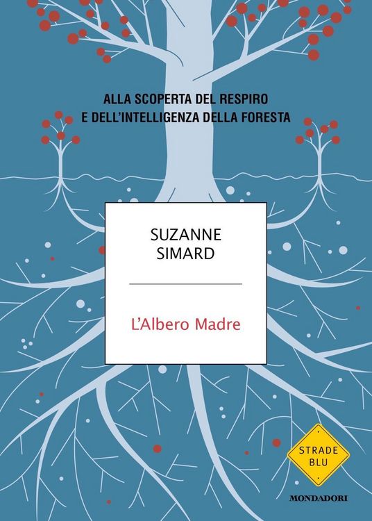 Produktbild: L' albero madre. Alla scoperta del respiro e dell'intelligenza della foresta