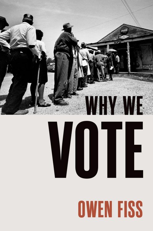 Produktbild: Why We Vote