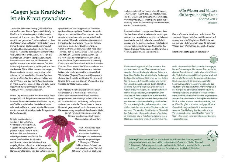 Produktbild: Heilen mit pflanzlichen Antibiotika