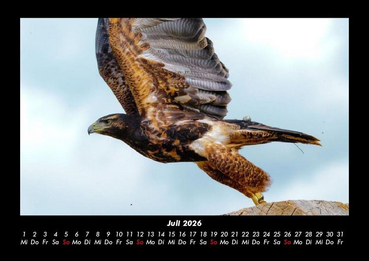 Produktbild: Welt der V&ouml;gel 2026 Fotokalender DIN A3