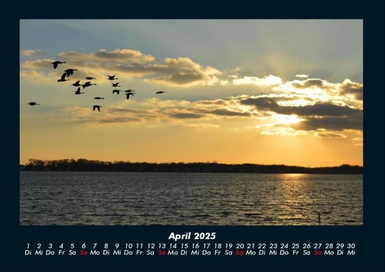 Produktbild: Bilder aus der Natur 2025 Fotokalender DIN A4