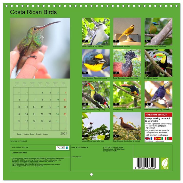 Produktbild: Costa Rican Birds (Wall Calendar 2026 12 &times; 12 Inch) CALVENDO 12 Month Wall Calendar