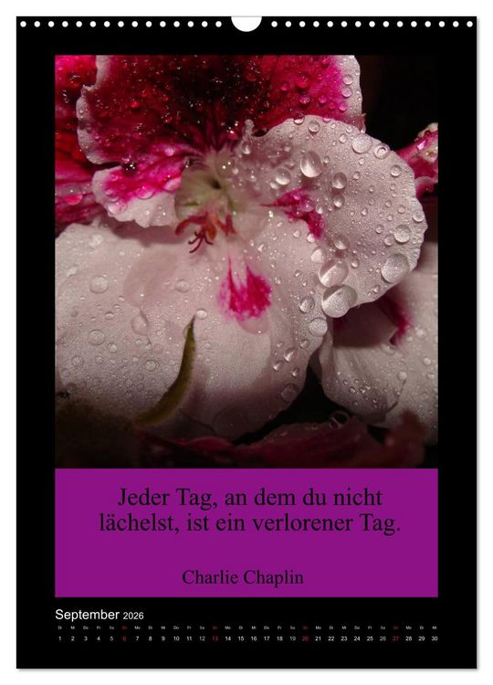 Produktbild: Lebensweisheiten mit Blumigen Gr&uuml;&szlig;en (Wandkalender 2026 DIN A3 hoch), CALVENDO Monatskalender