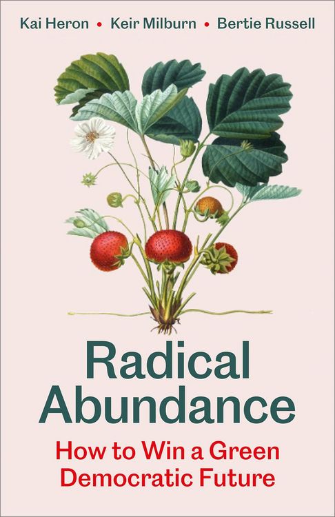 Produktbild: Radical Abundance