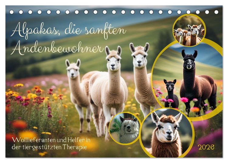 Produktbild: Alpakas, die sanften Andenbewohner (Tischkalender 2026 DIN A5 quer), CALVENDO Monatskalender