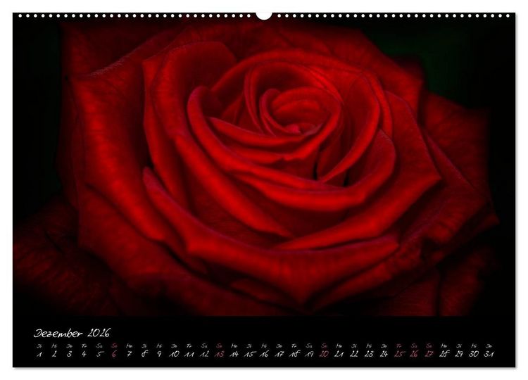 Produktbild: Serenade - Visuelle Musik der Blumen (Wandkalender 2026 DIN A2 quer), CALVENDO Monatskalender