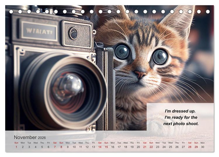 Produktbild: The humoristic cat guide (Desk Calendar 2026 DIN A5 landscape), CALVENDO 12 Month DeskCalendar